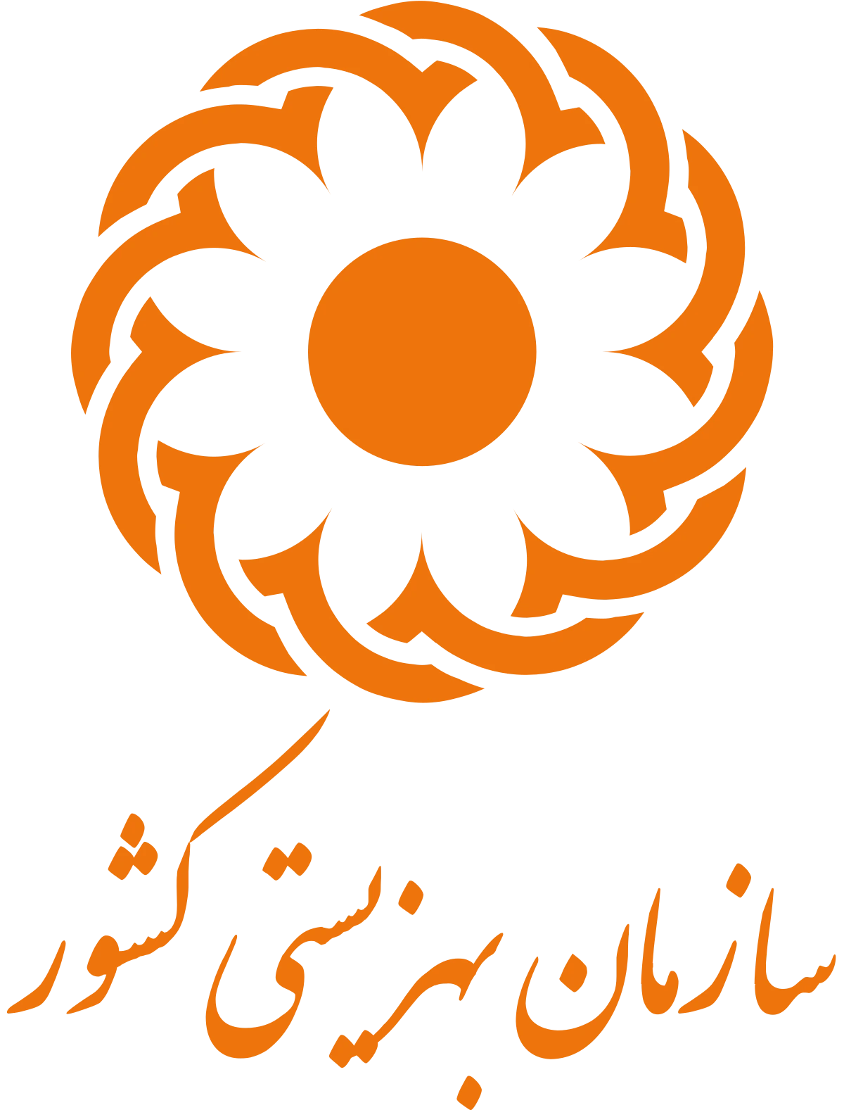 رزومه صیانت گستر؛ سازمان بهزیستی کشور